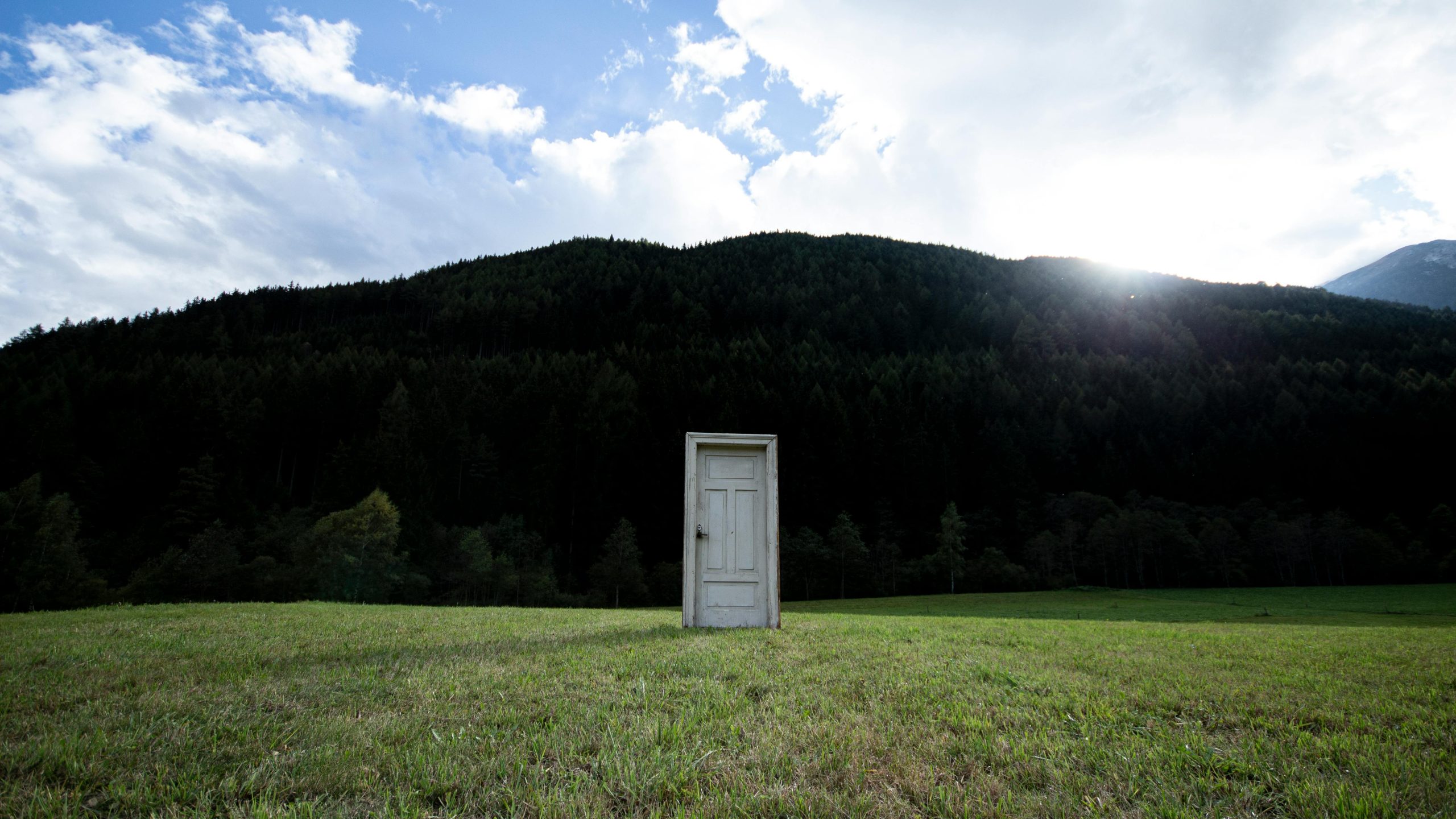 About EcoNest Ventures